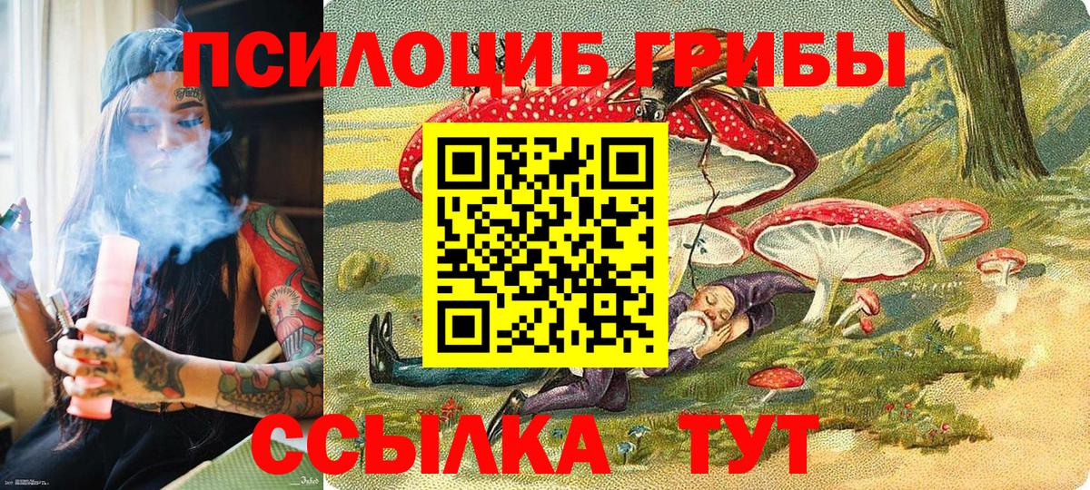 Усть-Кут  Галлюциногенные грибы MAGIC MUSHROOMS  Вход с VPN 